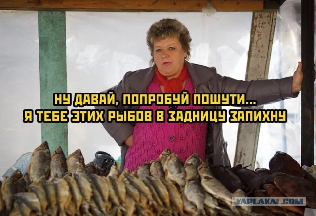 Весёлый полтишок 8.08