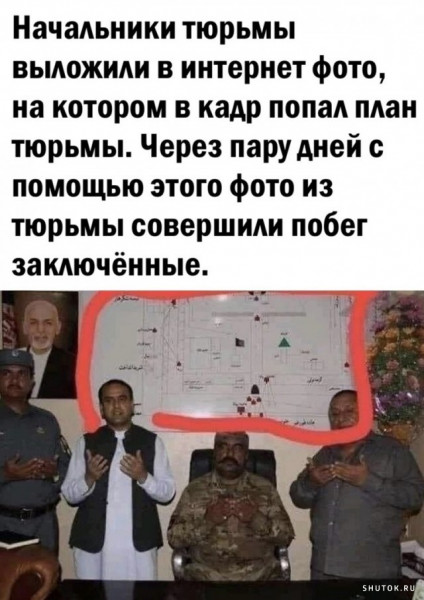 Всяческие картинки 29.11.2021