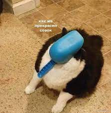 Не чокаясь