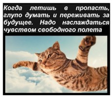 Картинки с надписями и всякие жизненные фразы