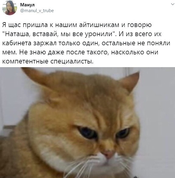 Так себе картинки 05.05.22