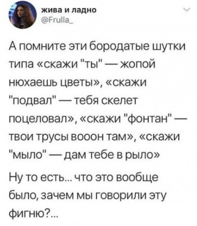 Весёлый полтишок 08.06.2022
