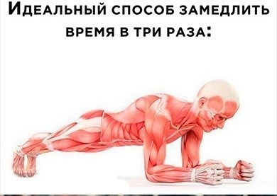 Картинки и мемы для настроения - 27