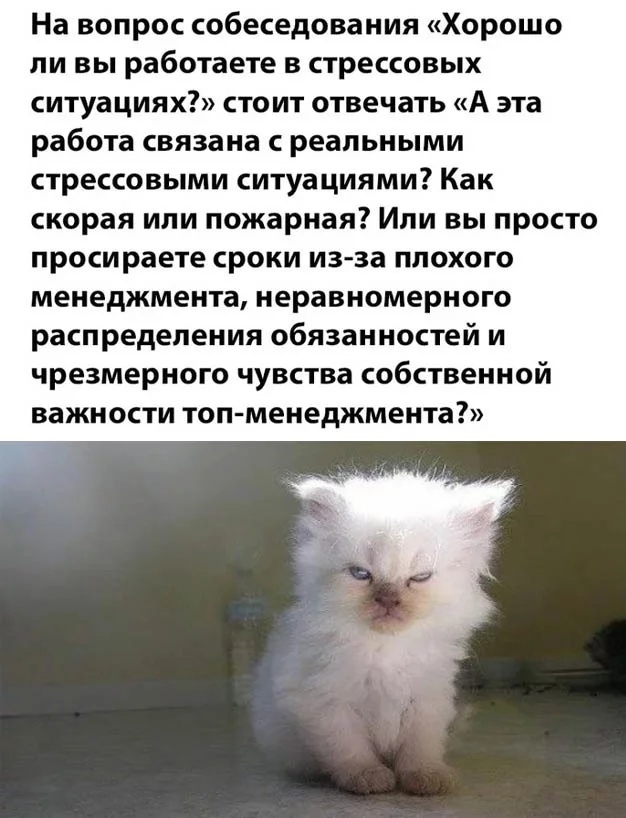 Картинки и мемы, всем хороших выходных