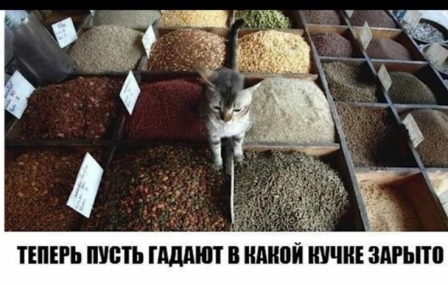 Немного картинок для настроения - 151