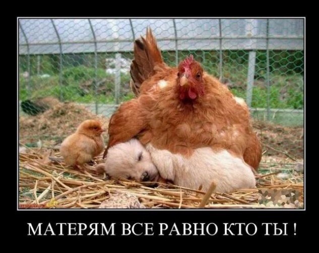 Картинки с надписями 31.03.23