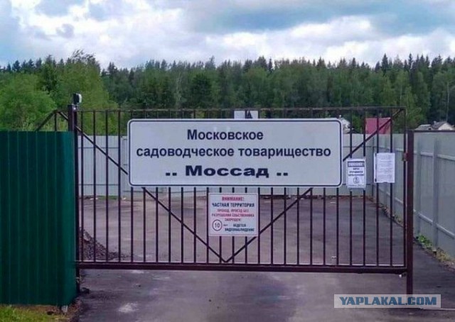 Нестандартный пост в пятницу
