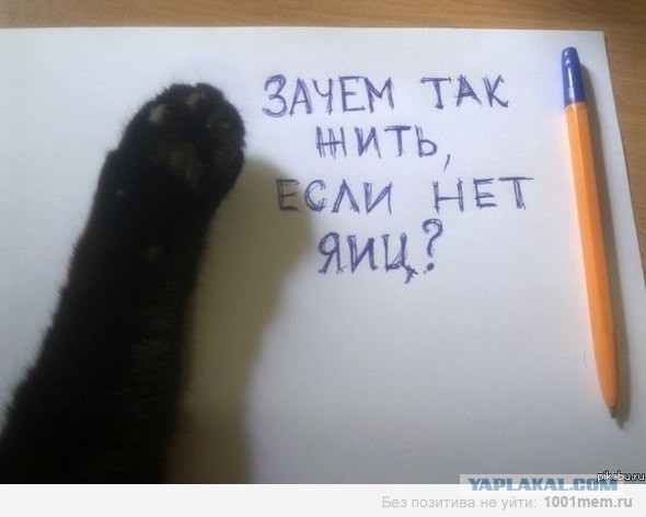Женщина моей мечты
