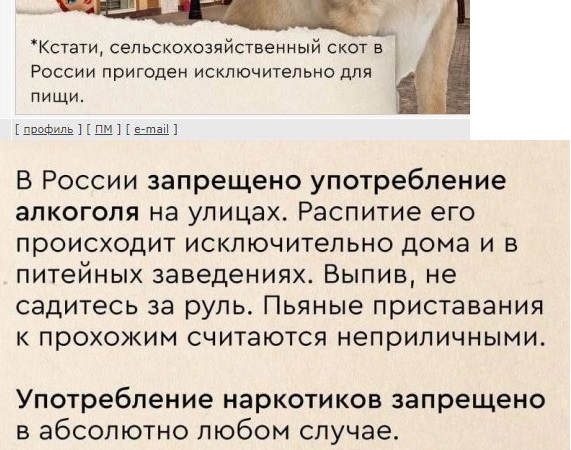 В Москве выпустили памятки для мигрантов