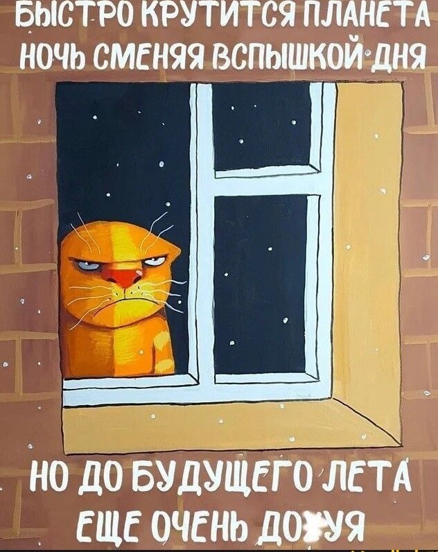 С котовторником ЯПовцы