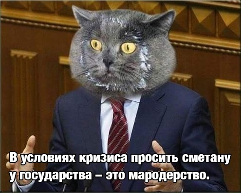 Просто барсик