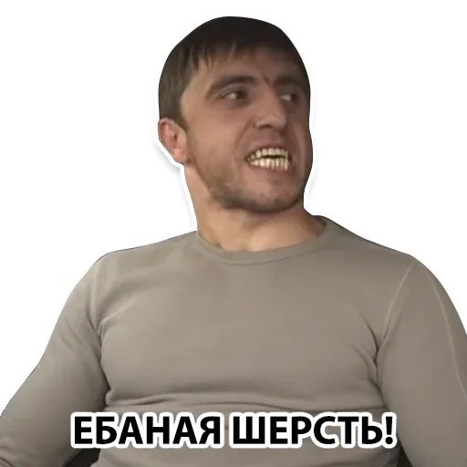 Папы всегда против котов