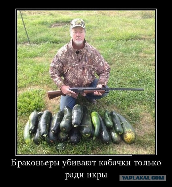 Новый вид мошенничества