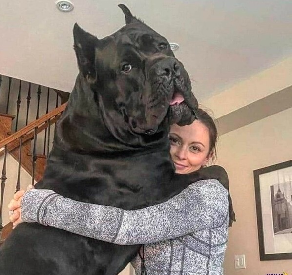 Картинки разные с надписями и без