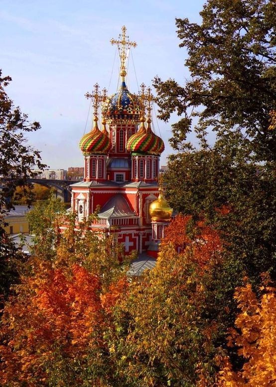 Прикольные и просто красивые картинки 22.10.2024