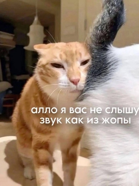 Если ещё не знали, как звучит индийский метал, то теперь знаете
