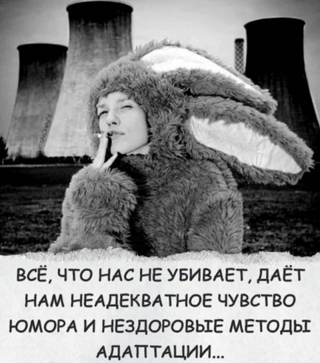 Весёлые картинки