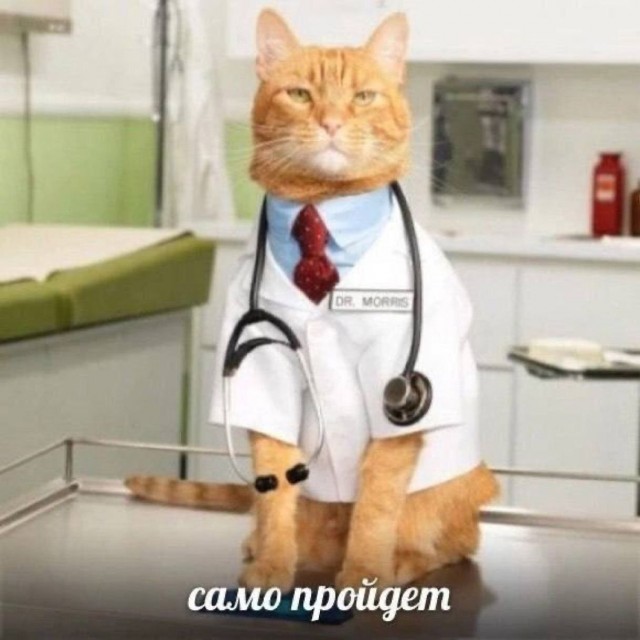 Нуштош 07.02.2025. Так же близко (s3e5)