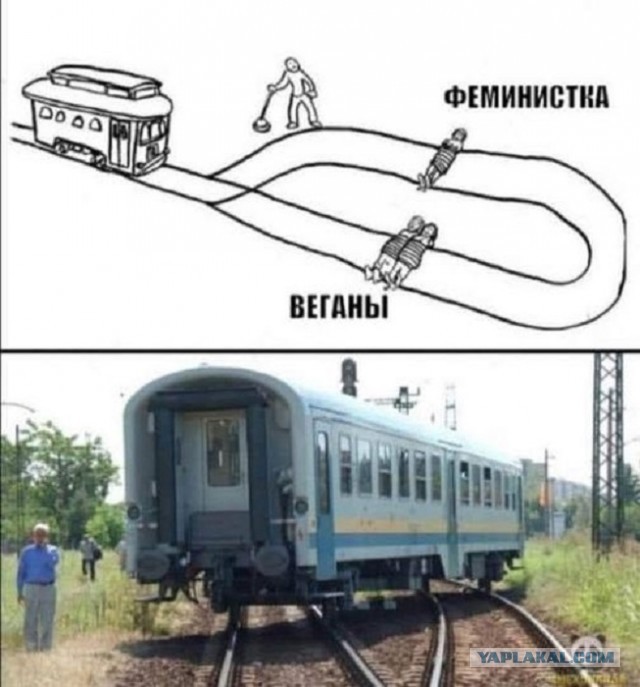 Так себе картинки 02.03.25