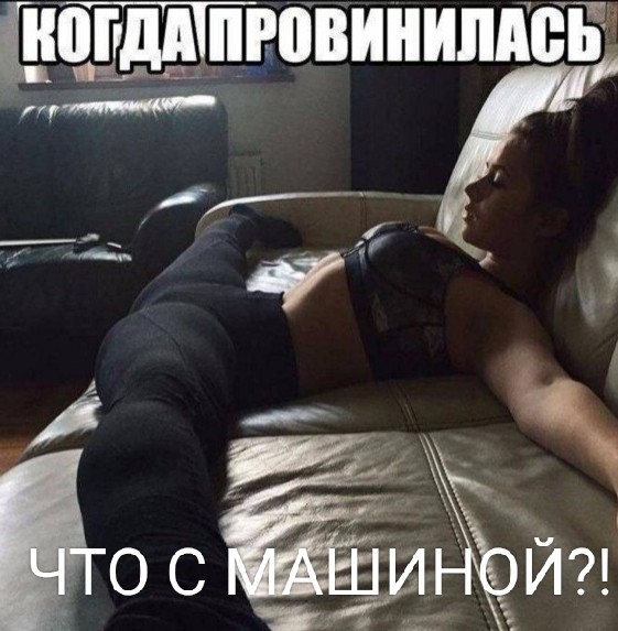 Веселые картинки в среду, практически пятницу 30.04