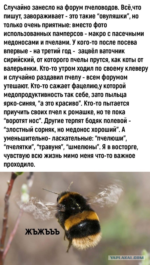 Так себе картинки 14.05.25