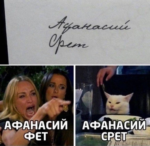 Знаменитый кот