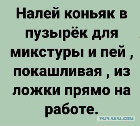 Картинки для деградации 51 (разной степени свежести)