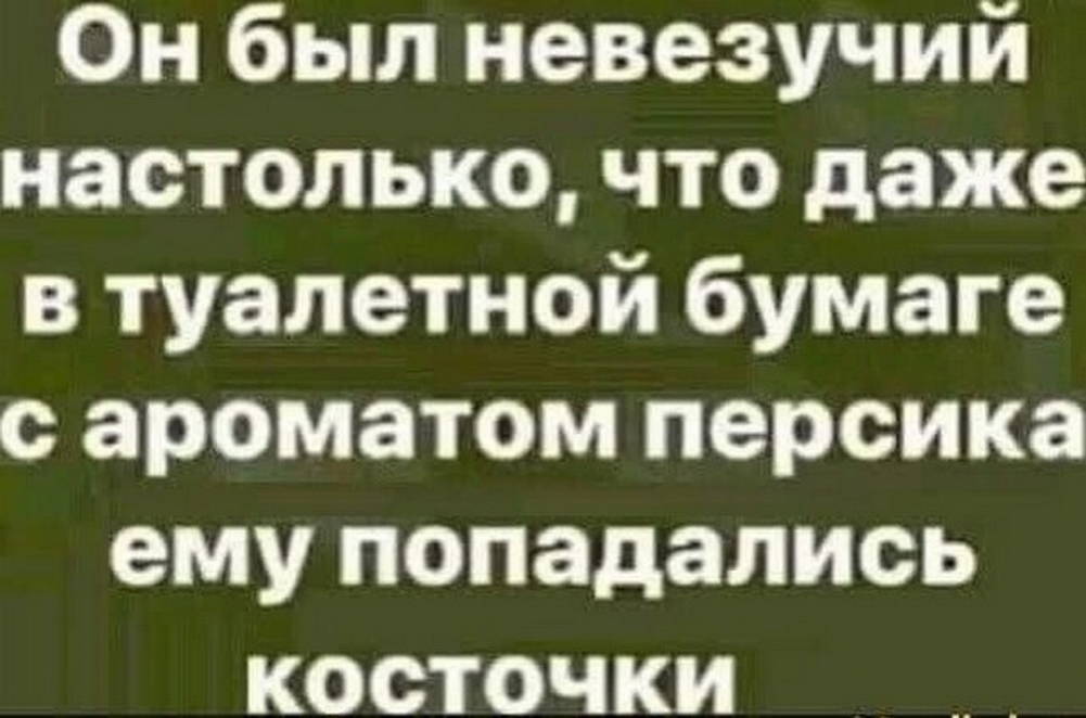 20537127.jpg