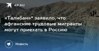 Для предотвращения терактов в школах нужно нанимать росгвардейцев, но пока это невозможно из-за СВО, заявили в Госдуме
