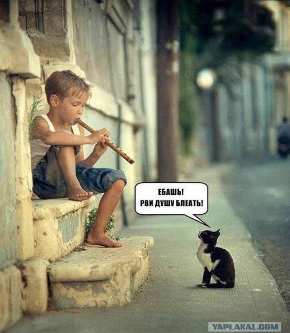 В Госдуме выступили против конфискации имущества у коррупционеров