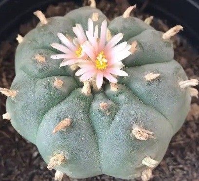 Поздравляю всех причастных с праздником!