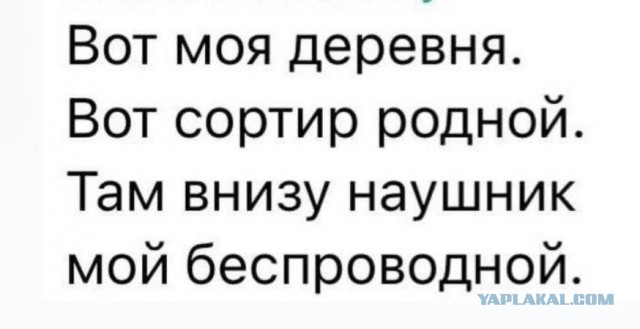 Картинки для деградации 194 (разной степени свежести)