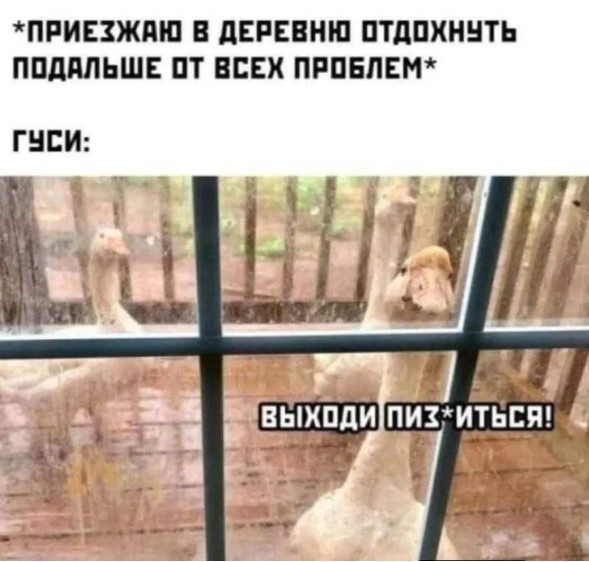 Картиночки, баянчики 07 июня
