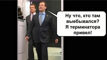Вот мои