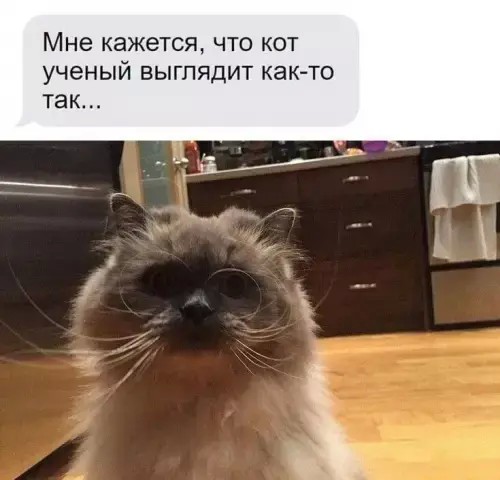 Веселые картинки в понедельник (03.08)
