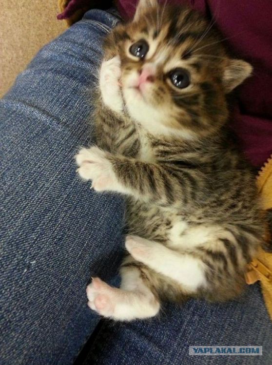 Может быть такое?