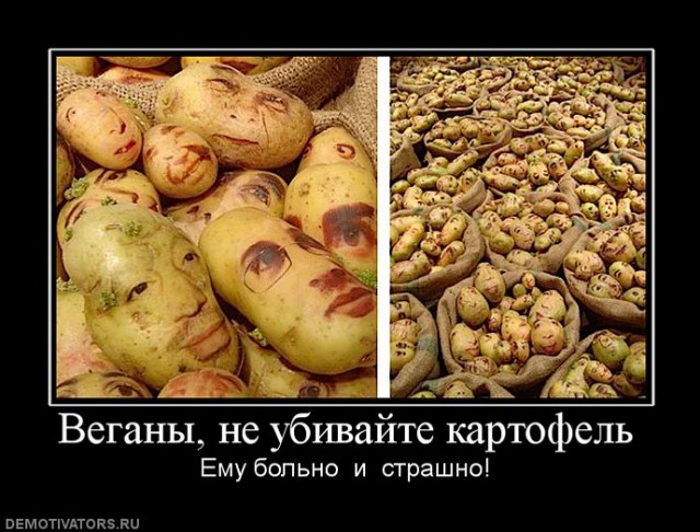 О чем думает отрубленная голова человека?