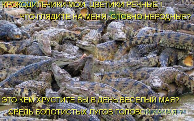 Как крокодилы тысячу японских солдат съели