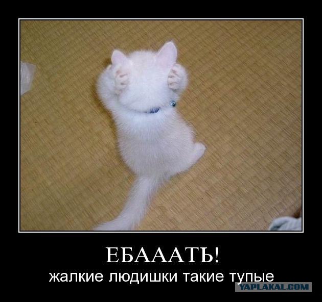 Кто победит, холодильник или утюг?