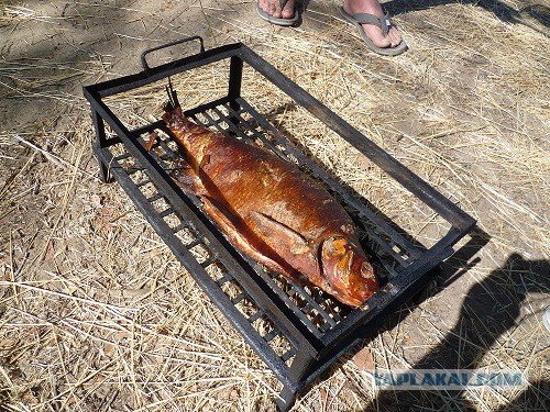 Копченые королевские креветки