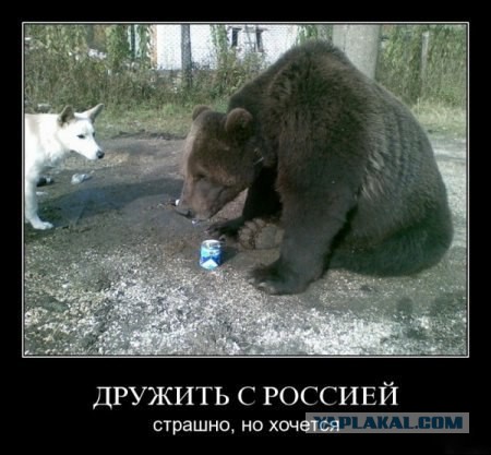 Кушать меньше, а лучше сдохнуть