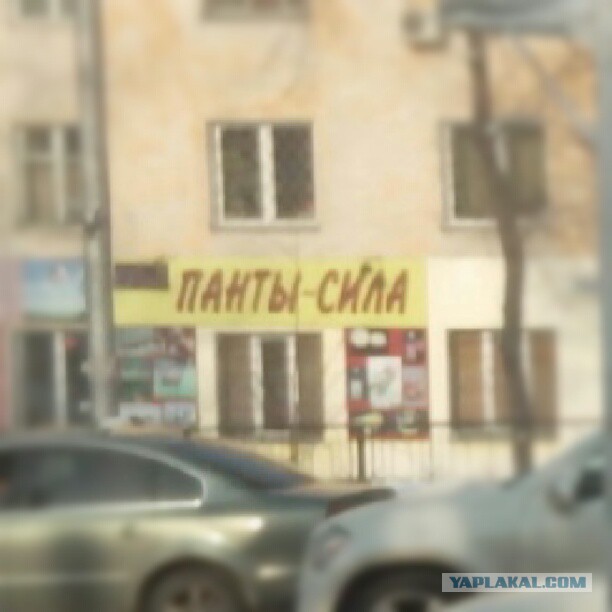 Жемчужина Казахстана! Almaty Tapok Edition