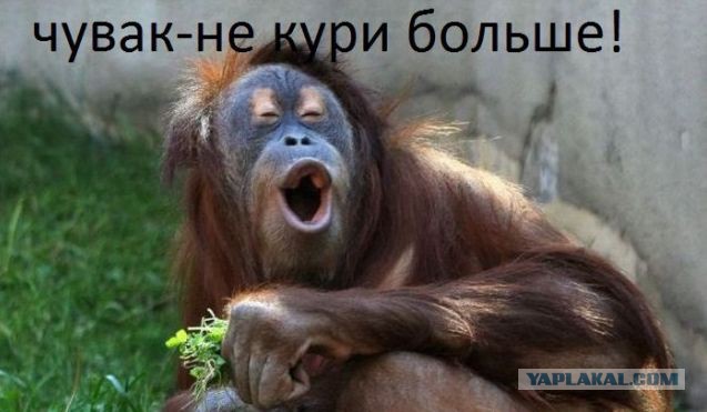 ВНИМАНИЕ. Пользователям Яндекса.