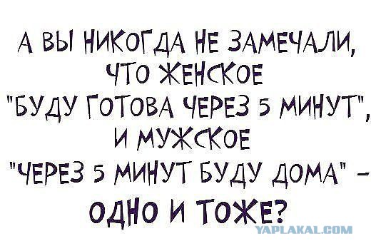Весёлое из сети