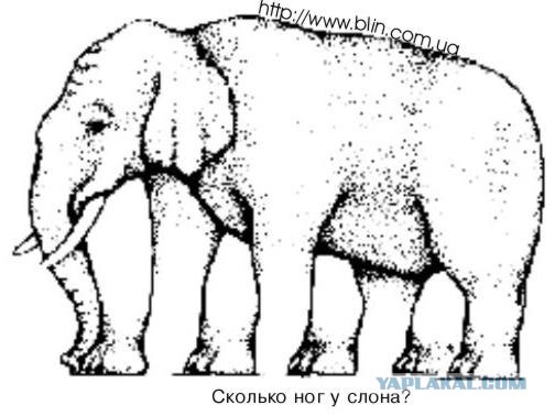 Оптические иллюзии