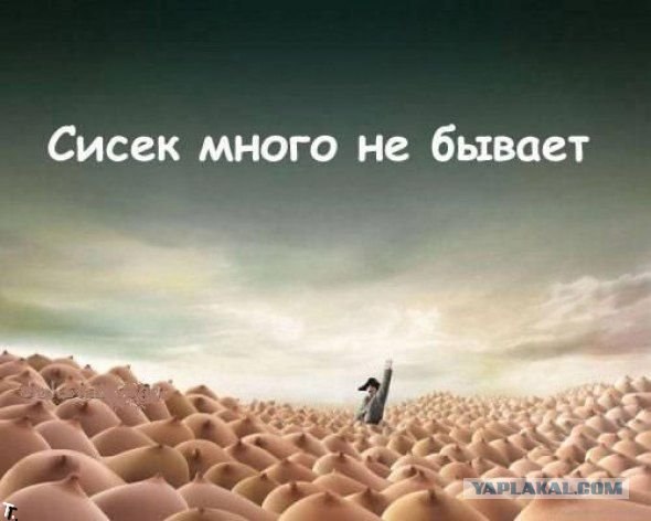 Плескаться в воде - всегда позитив! Ведь правда?