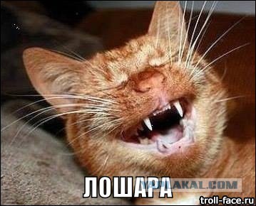 Где знакомиться с будущей женой?