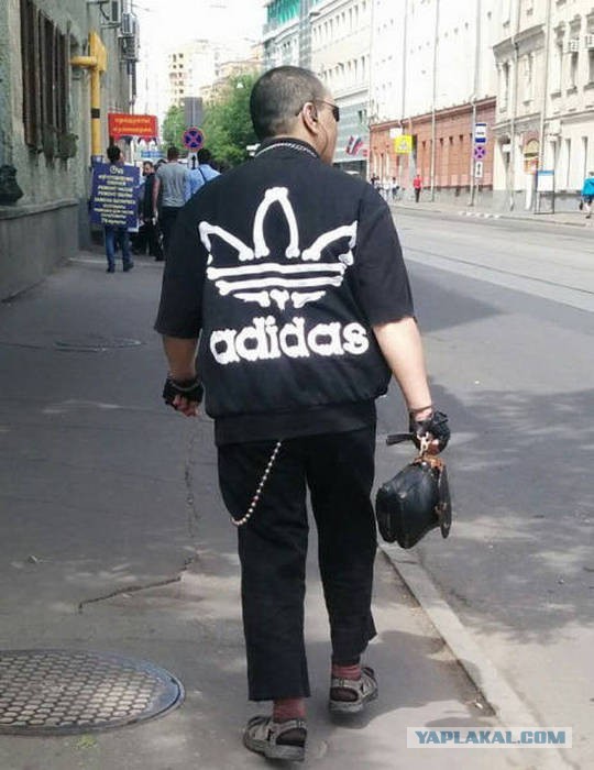 Подборка прикольных фото из сети