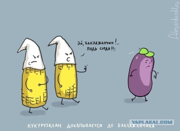 Мигранты в Европе барагозят