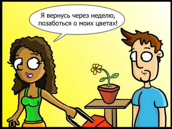 Позаботься о моих цветах